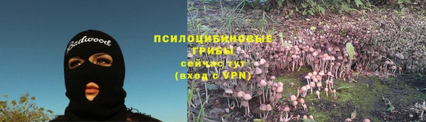 прущая мука Арсеньев