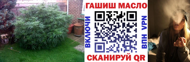 Дистиллят ТГК концентрат  гидра как войти  Черногорск  где купить наркоту 