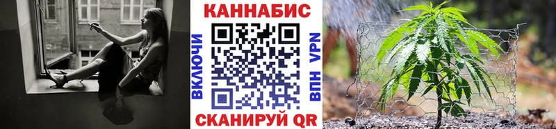 Бошки марихуана сатива  мориарти как зайти  Черногорск 